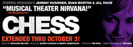 chess flyer