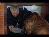 London Burning thumbnail